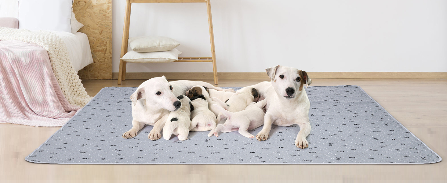 wasahble dog pee pads