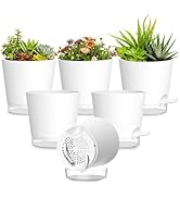 SQKH Plant Pots 4 Inch Self Watering Pots,6 Pack Plastic Planters with Drainage Holes and Clear S...