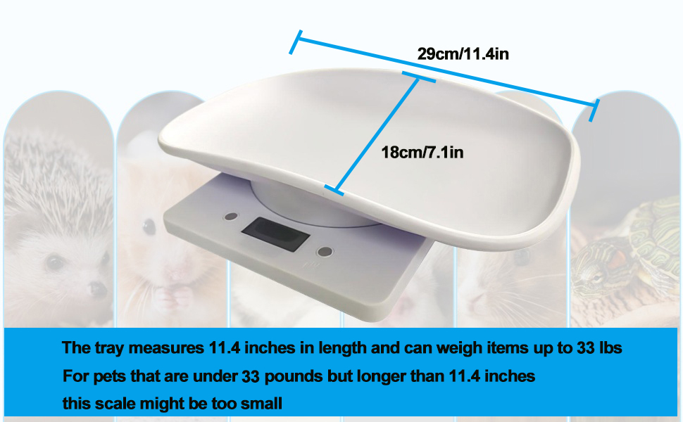 Digital Small Animals Scales