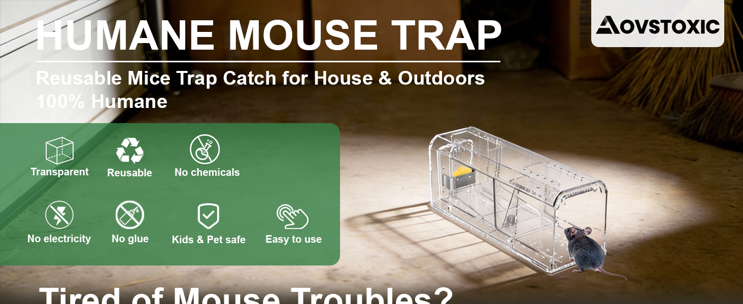 humane mouse trap