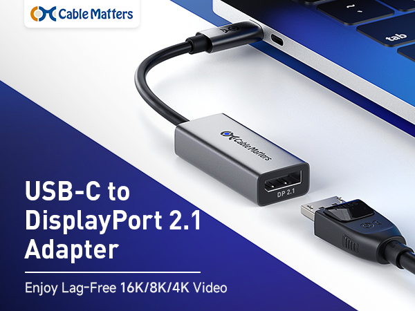 usb c to displayport 2.1