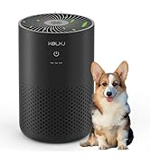 Air Purifiers for Home Bedroom,KQLKJ H13 True HEPA Air Purifier with Fragrance Sponge for Better ...