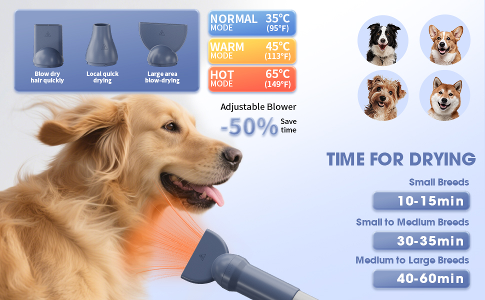 dog vacuum and dry kit