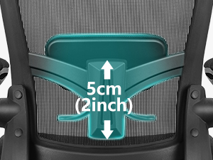 Dynamic Lumbar Support