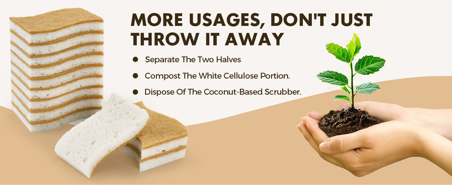 compostable sponges