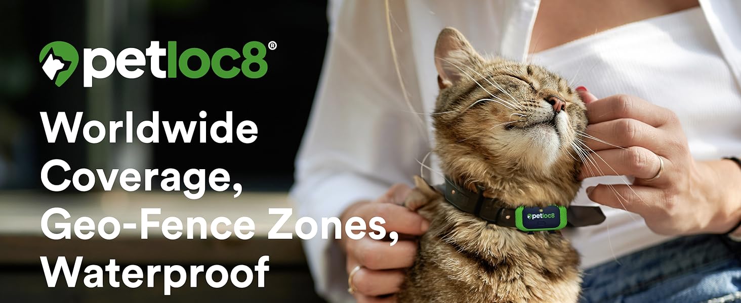 Petloc8 gps locator small pets dogs cats shown on cat collar