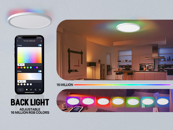 smart ceiling light