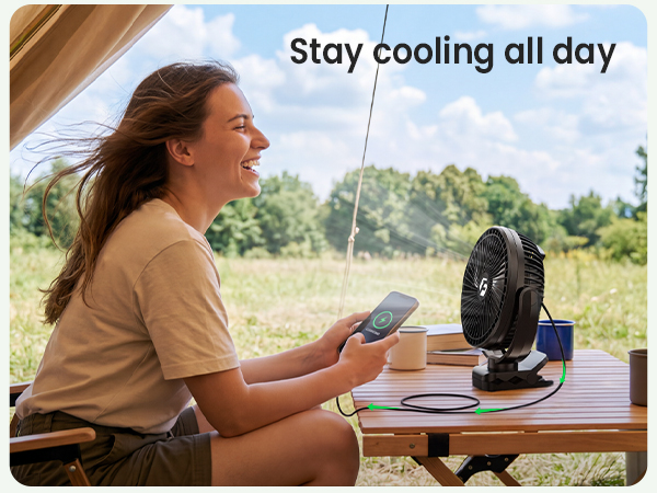 Desk Fan