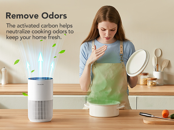 Remove Odors