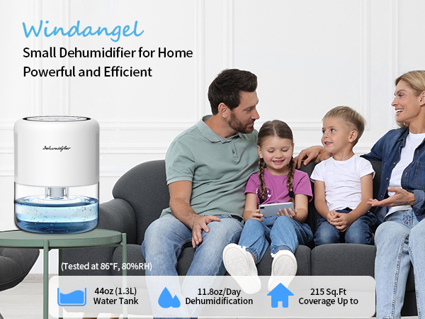 Small Dehumidifier for Home