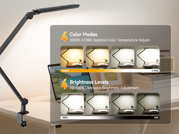 Dual Light