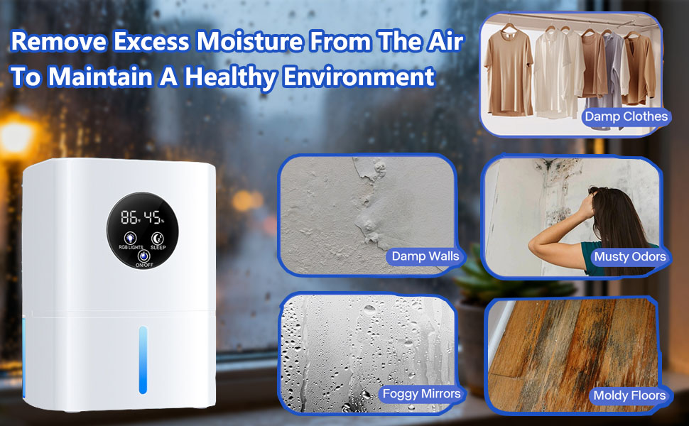 dehumidifiers for home