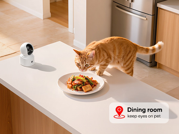 battery powered pet camera