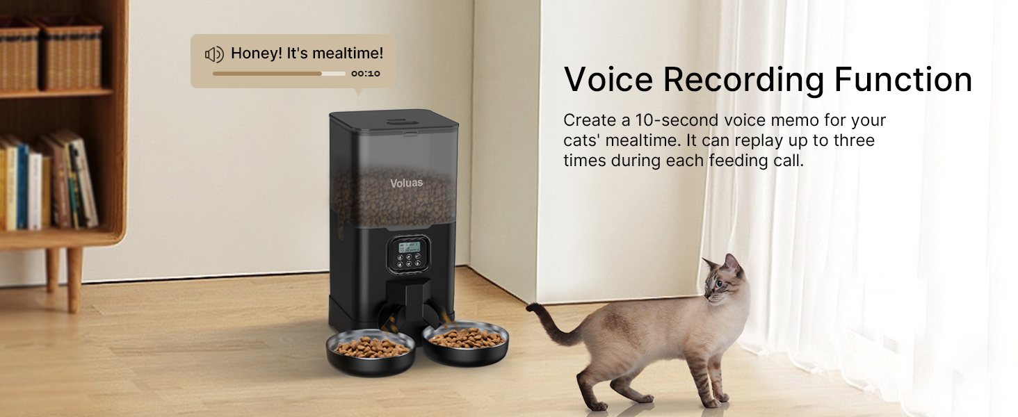 automatic cat feeders
