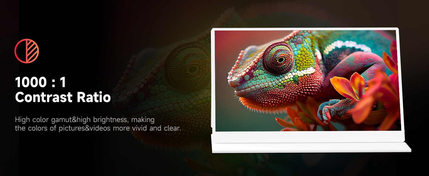 AYY Portable Monitor for Laptop