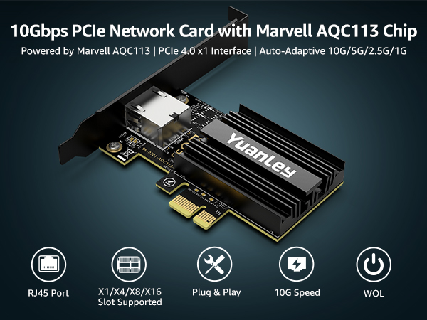 10g network card