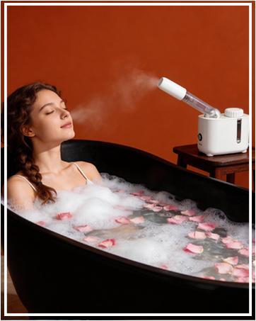 face steamer
