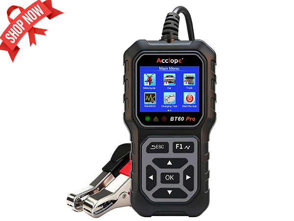 6V/12V/24V Lead-acid, LiFePO4 