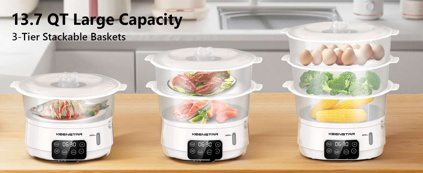 eletric food steamer