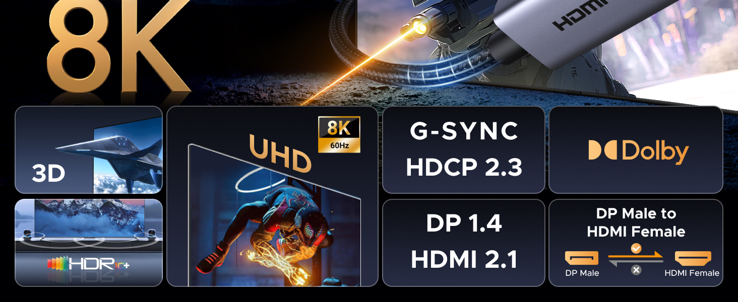 DP 1.4 HDMI 2.1