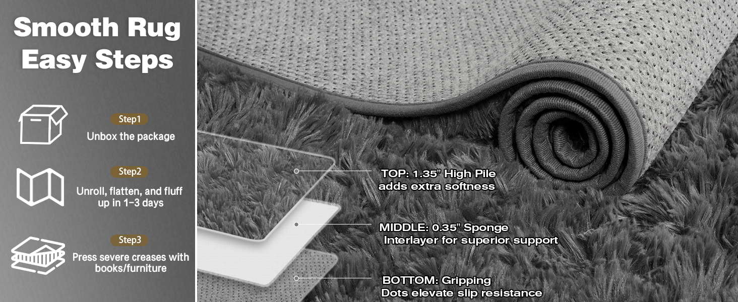 Area Rugs for Living Room