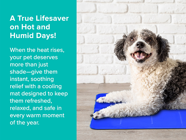 Cooling Mat