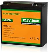 ECO-WORTHY 12V 30Ah LiFePO4 Lithium Battery, 4000+ Deep Cycle Rechargeable Battery with BMS for H...
