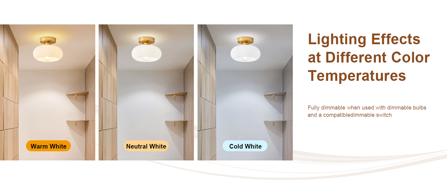 ceiling light fixture