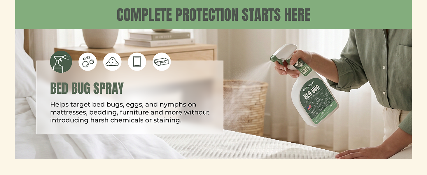 pest control bed bug trap