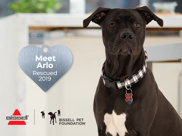 BISSELL Pet Foundation