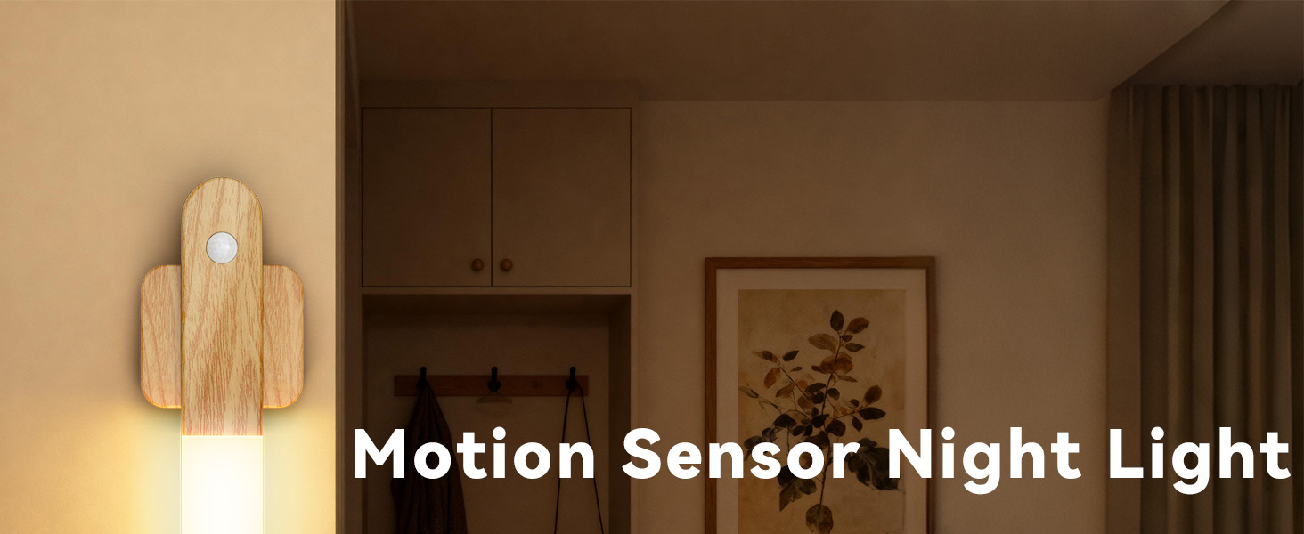 motion sensor light