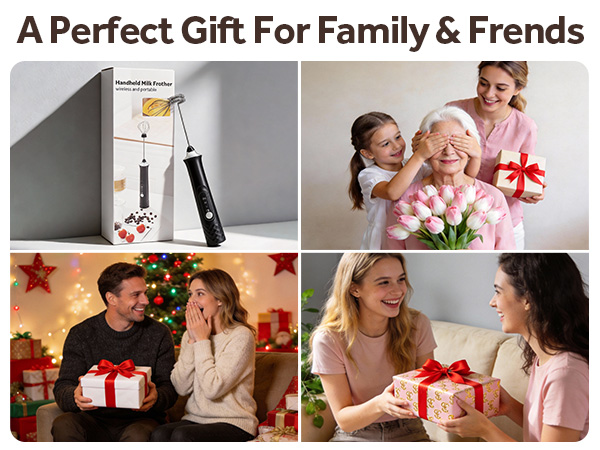 frother handheld rechargeable