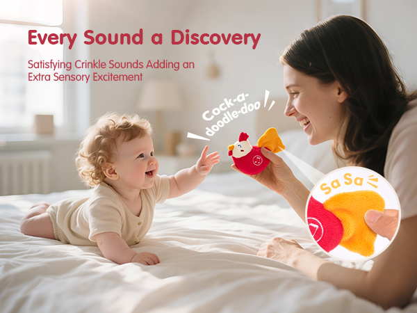 Baby Toys 6-12 Months