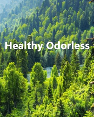 BG007 Vacuum Magnetic Phone Holder