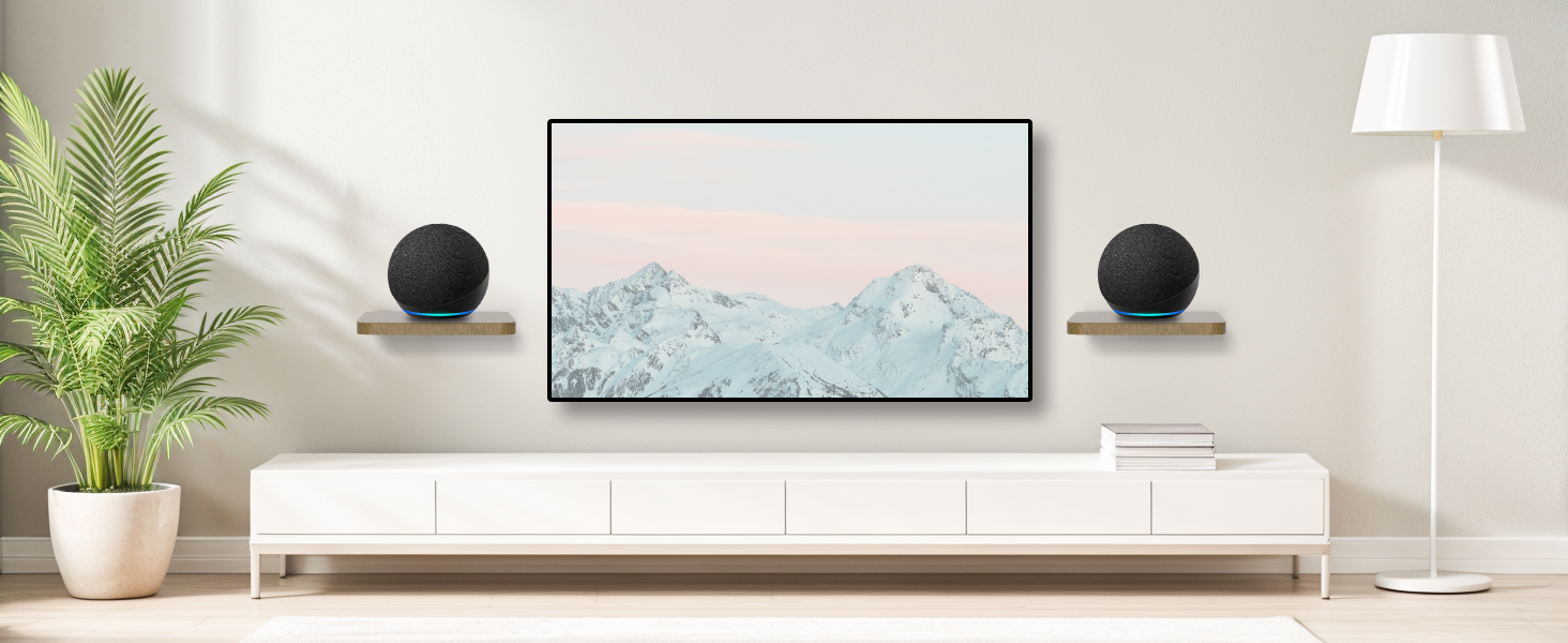 Speaker Wall Mount for Echo