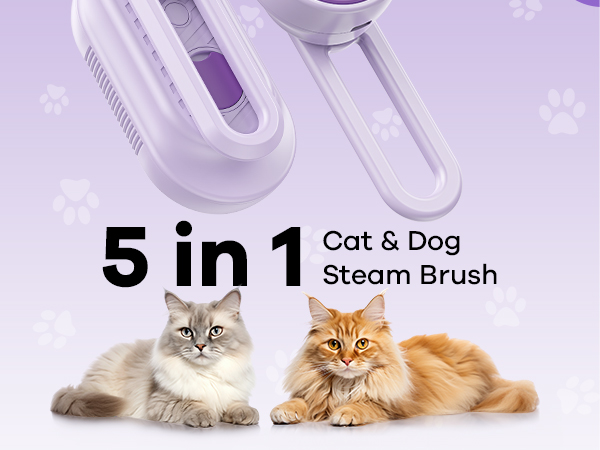cat brush