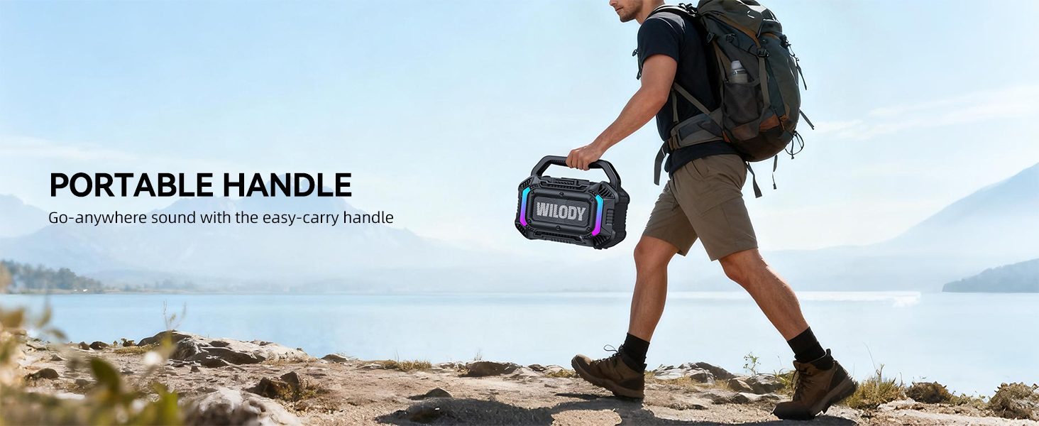 portable handle
