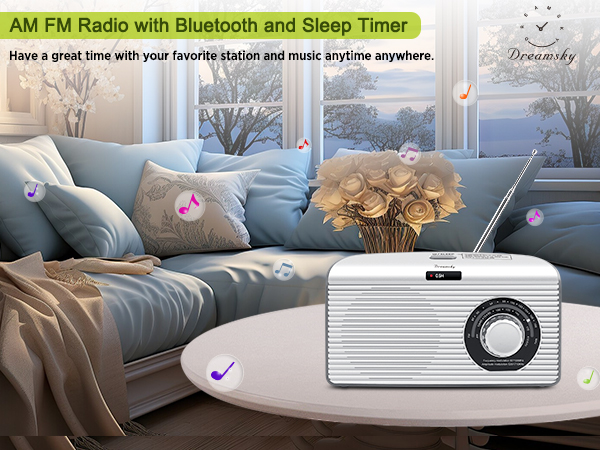 Dreamsky AM FM Radio with Bluetooth and Sleep Timer