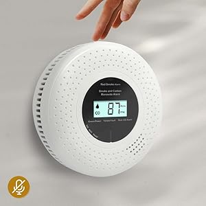 carbon monoxide detectors smoke alarm
