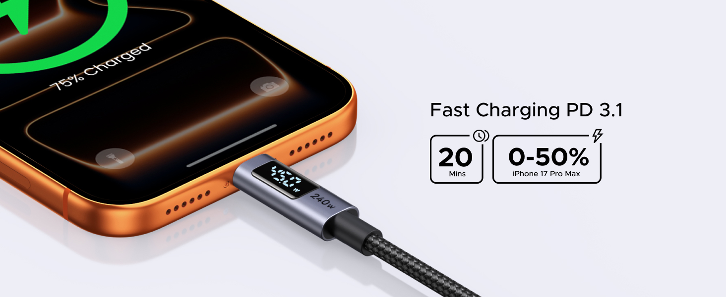 fast charging