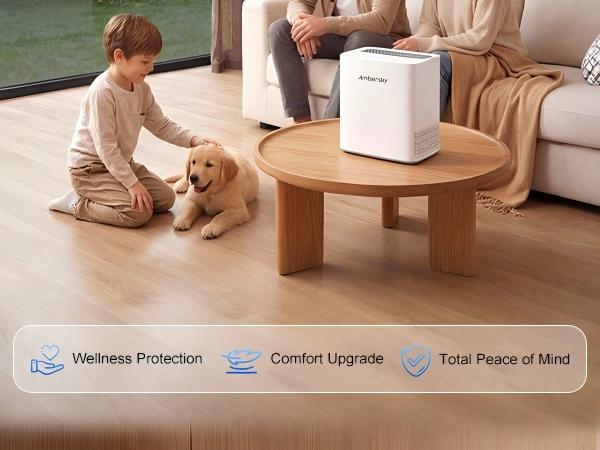 3 in 1 Air Cleaners for Home