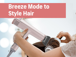 High Speed Blow Dryer