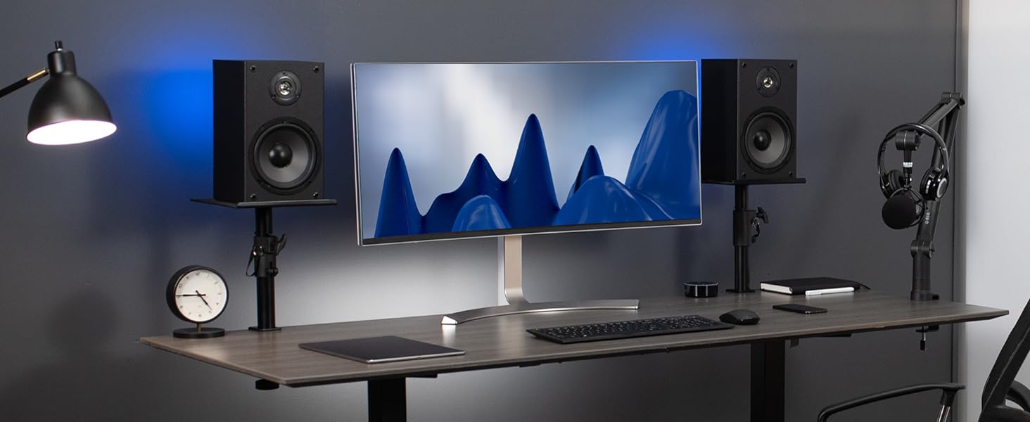 speaker mounts