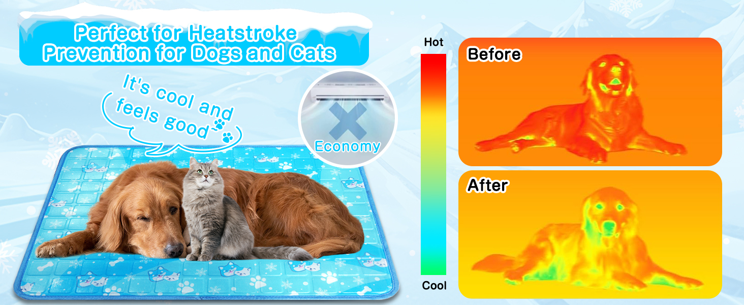 ice mat indoor