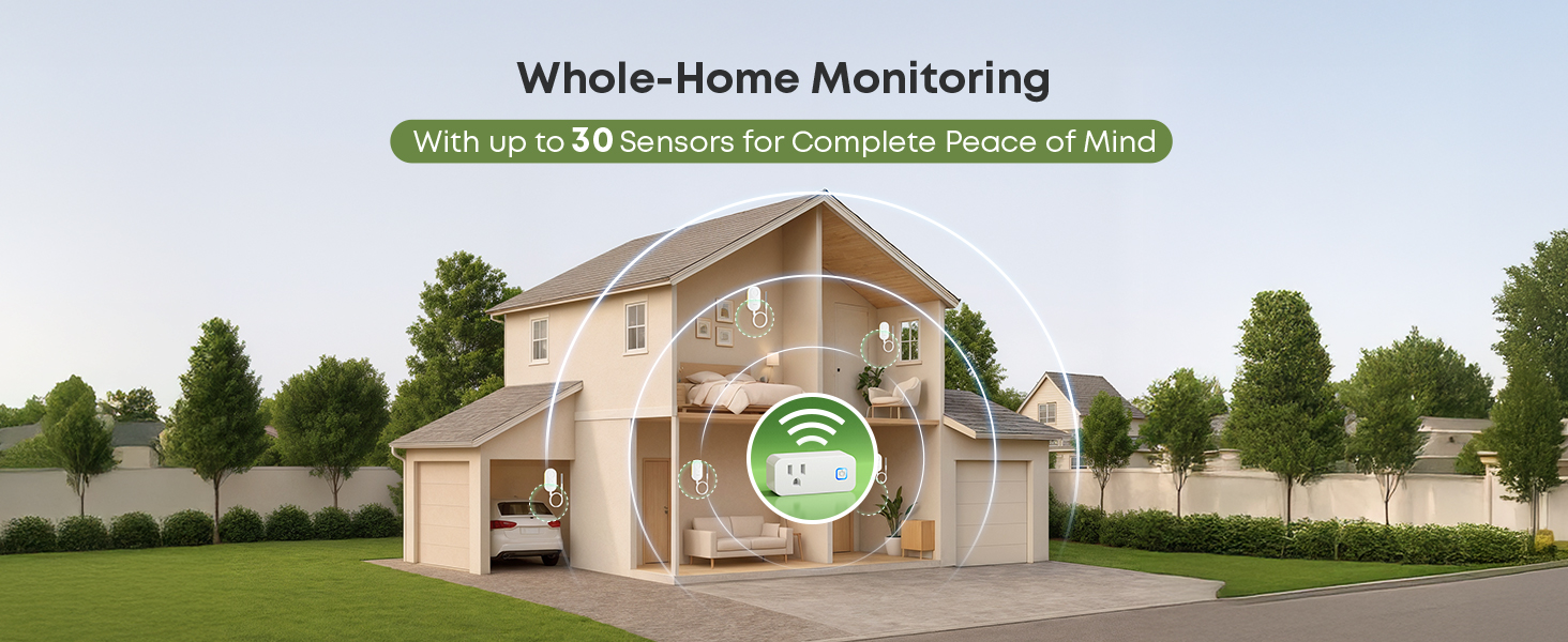 Whole-Home Monitoring
