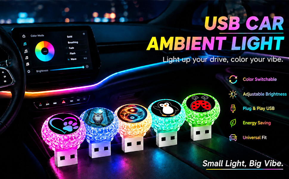 Car Decor USB LED Light