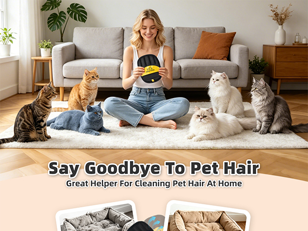 pet cat supplies
