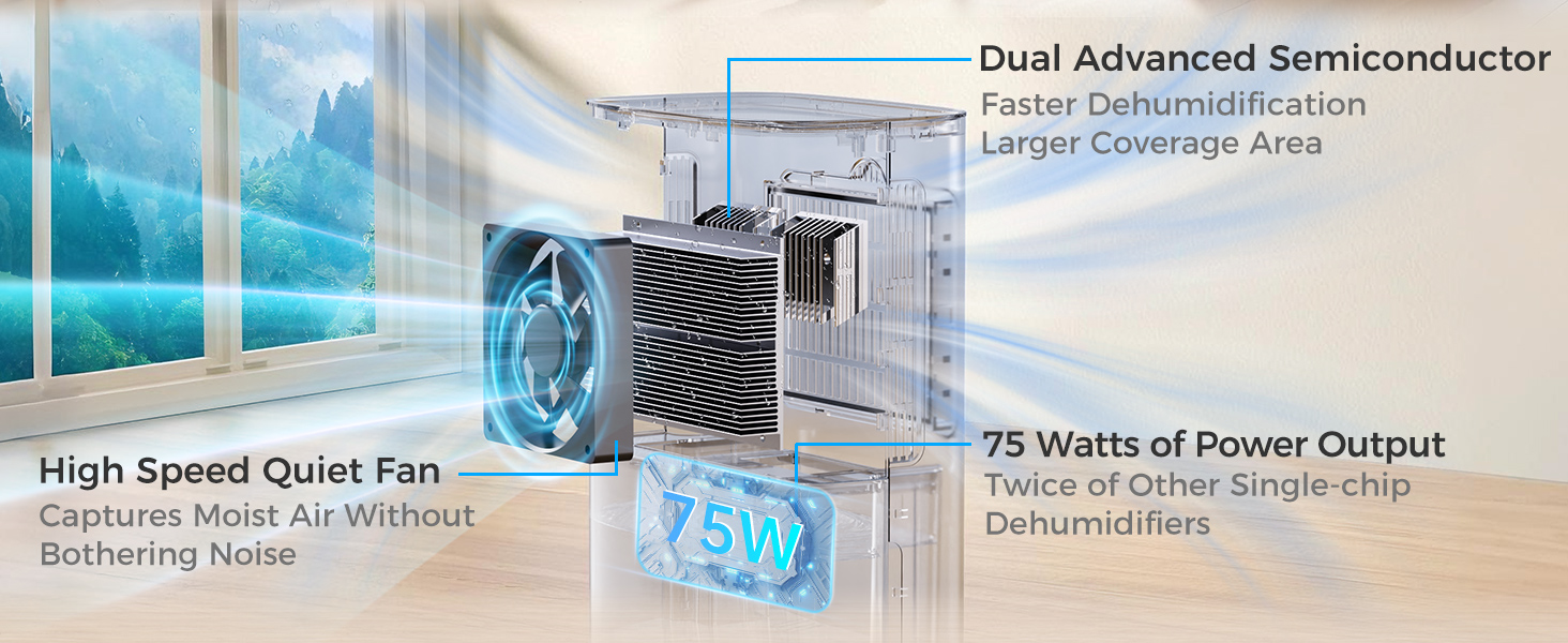 Dehumidifiers for Home