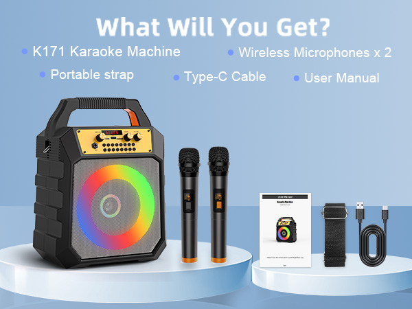 portable microphone and speaker wireless