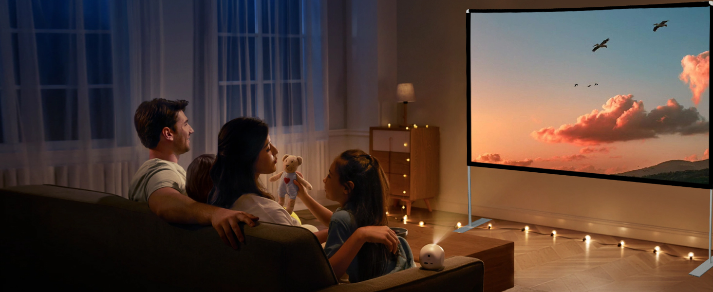 Indoor Projector Screen